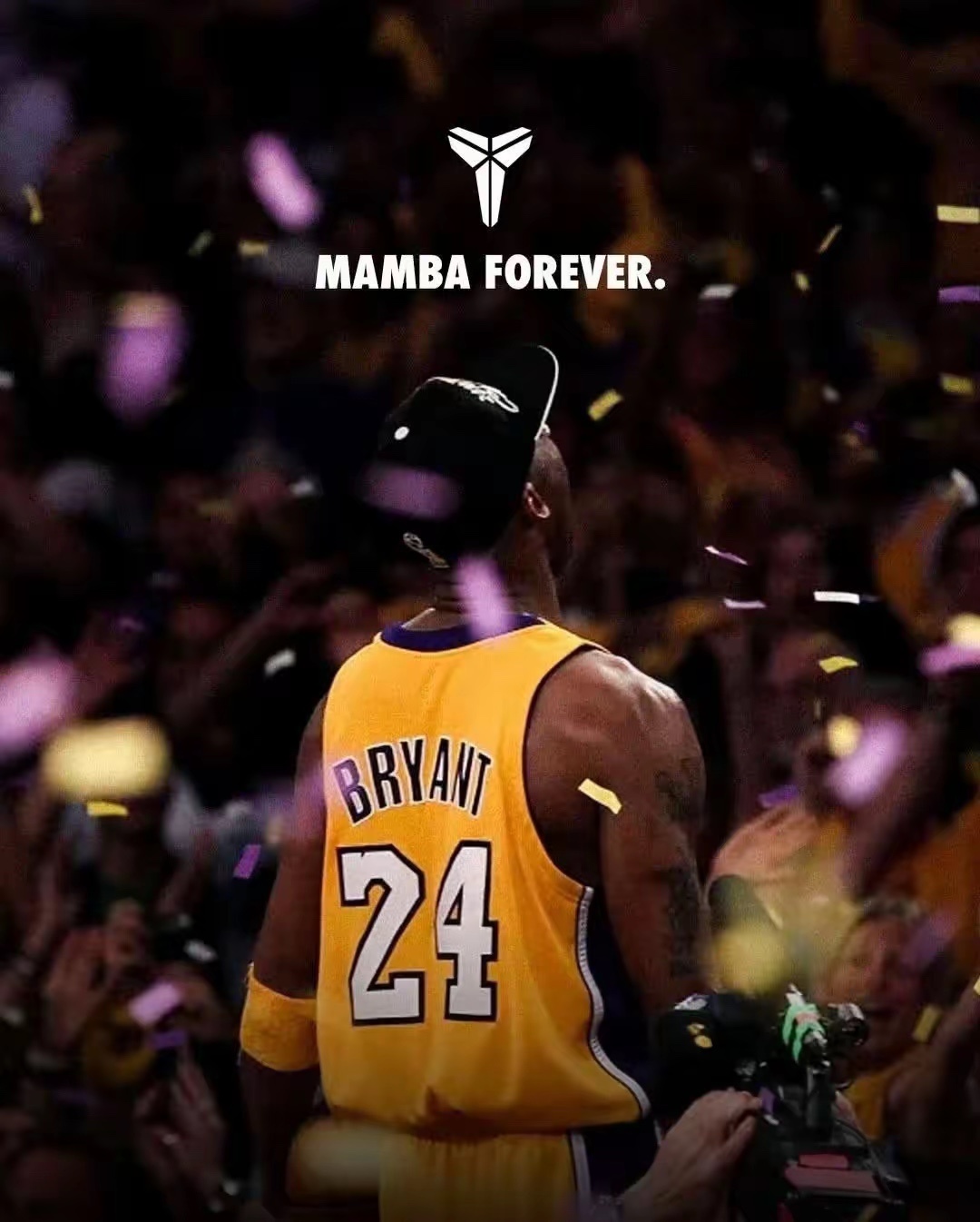 人生，就是一场悲喜，苦乐都是自己；缘分，就是一根纽带，来去都要随意。别人若放，你