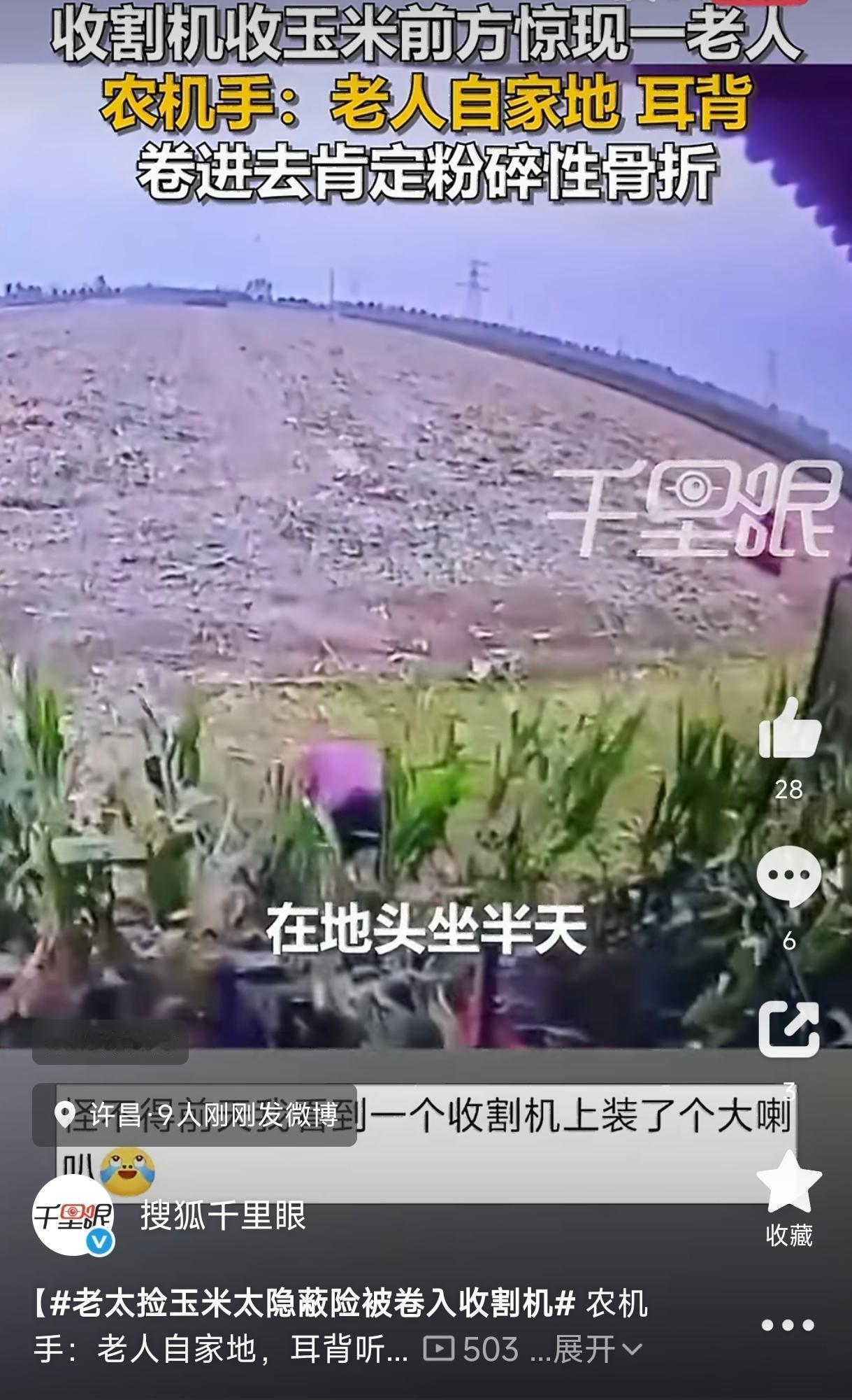 后怕！河南许昌，一农机手正开着收割机在玉米地里作业，机器前方突然冒出一名捡玉米的