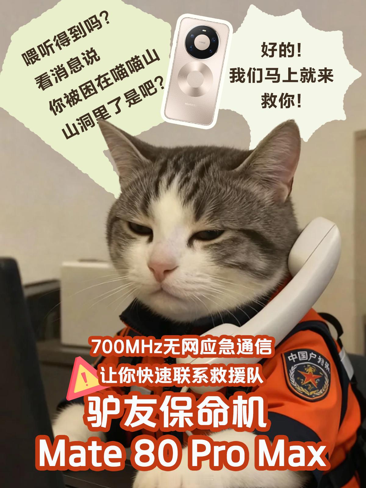 这东西平时是真用不到，但用到就是救命的一次，虽然用不到，可不能没有。