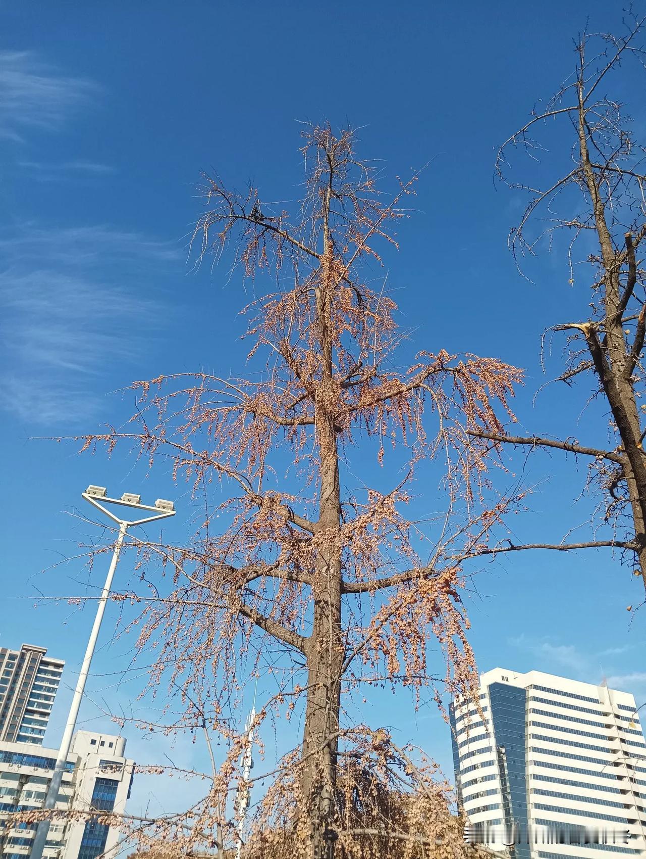 来郑州几十年了，对郑州特别爱吧，也谈不上！
      九五年工人路某学校毕业后