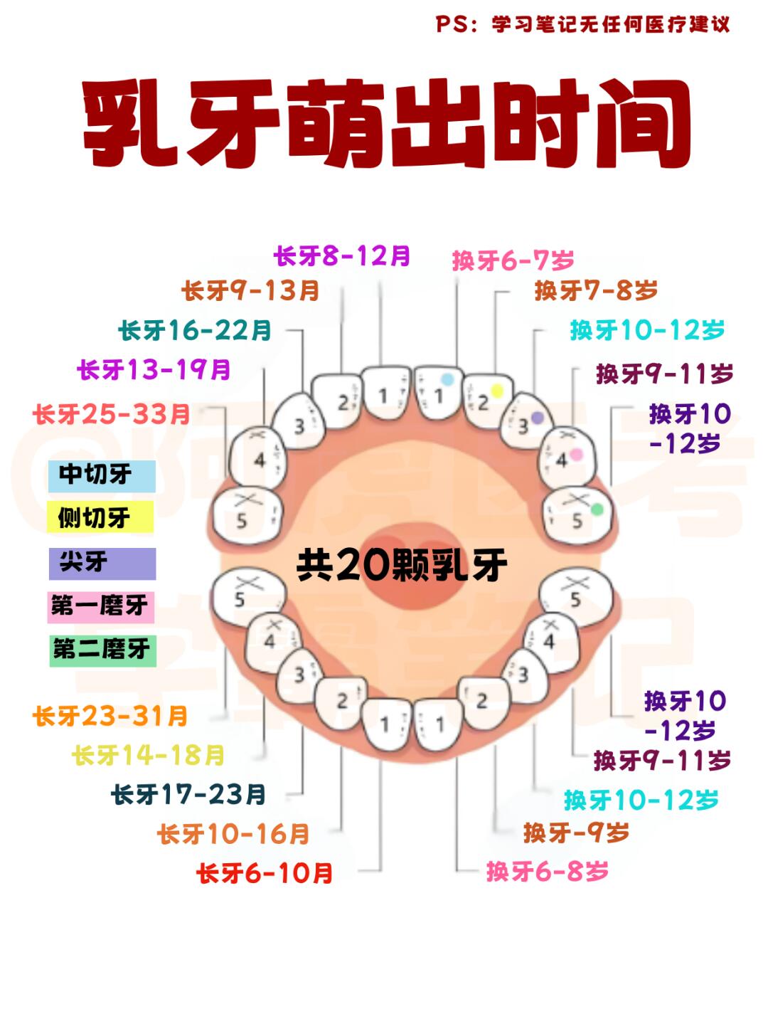 医学生笔记📒：乳牙萌出时间👆