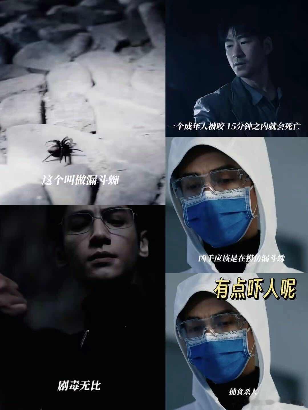 谁家好人子宫里面养蜘蛛啊李淑婷长期遭受霸凌，把自己代入蜘蛛的角色，用极端的作案手