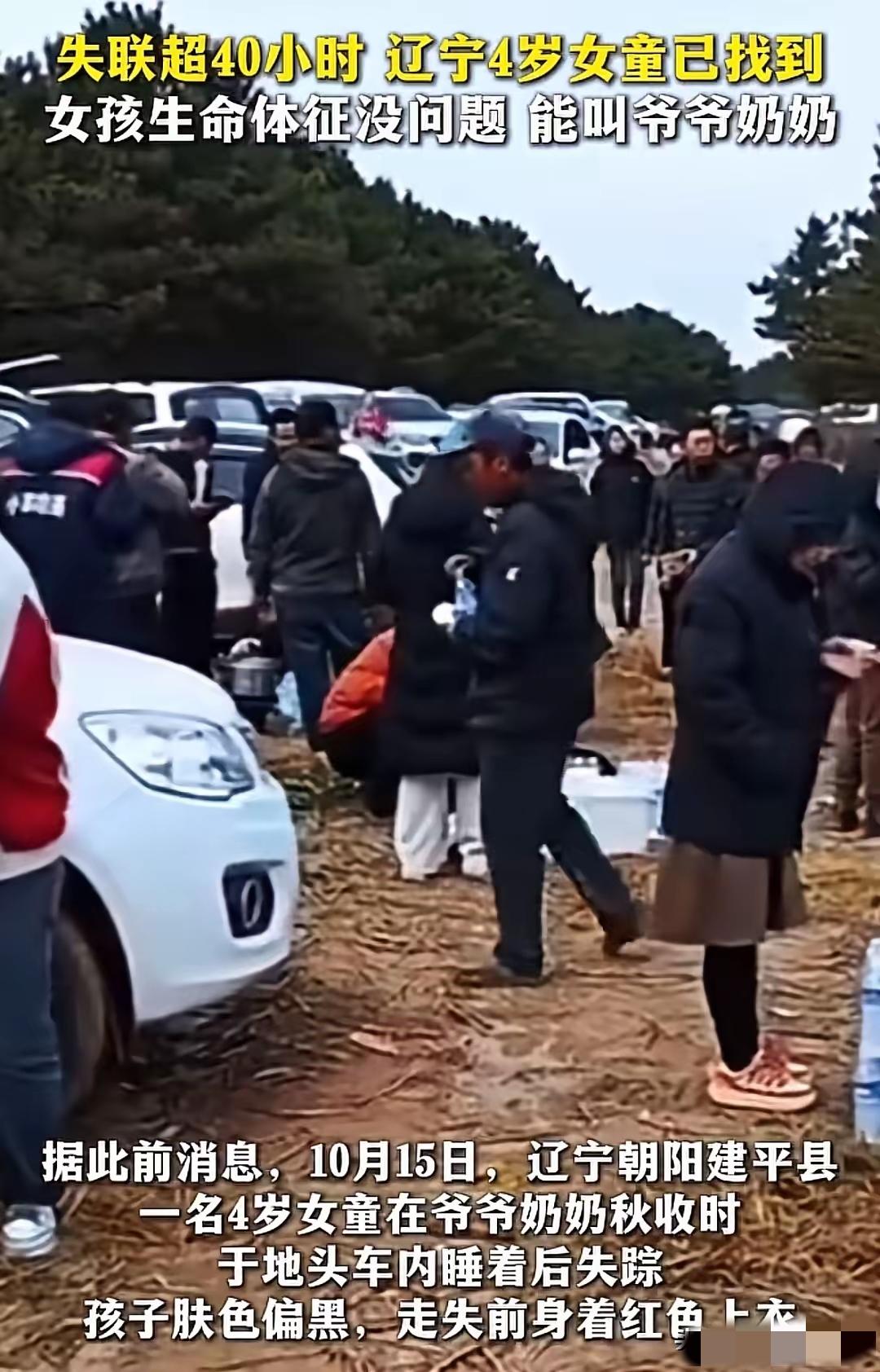 辽宁失联女孩已找到
​这名女童是在附近村地，也就是失联地方直线约1500米处的沟