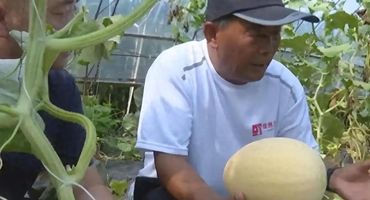 一位没上过大学，连高中都没毕业的黑龙江农民，拒绝300万美元的挖角，攻克了让美国