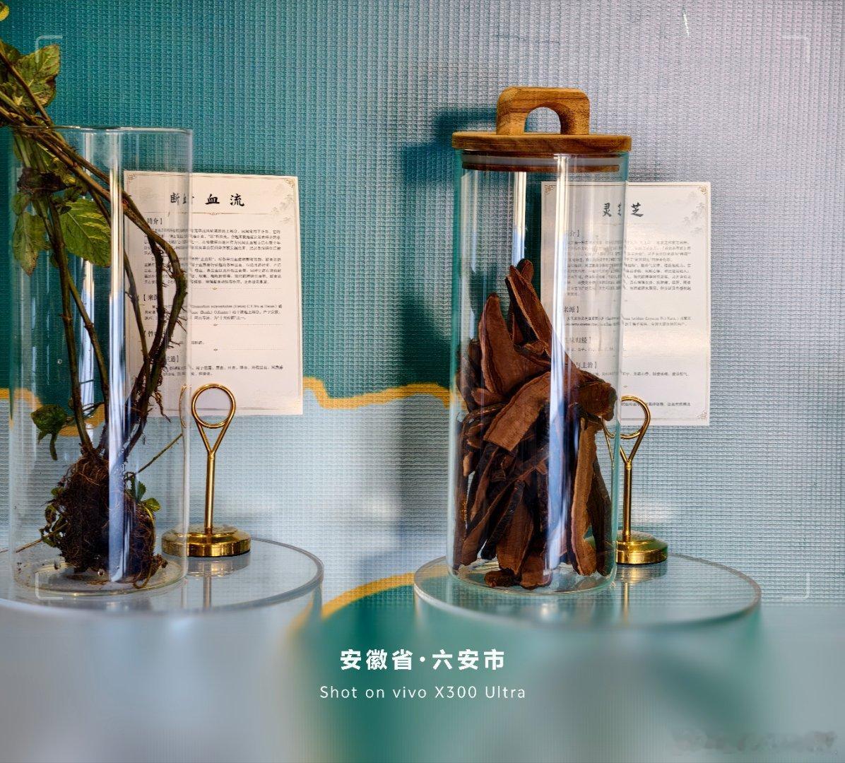 来六安皖西学院参加，皖西学院安徽省大别山中医药研究院和斛生元举办的【天工育种 赋