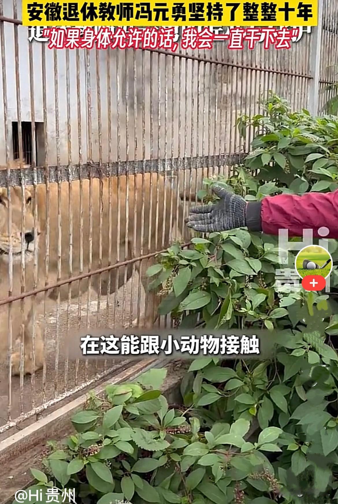 近日，有这样的一个动物园，它在贵州凯里市深山里，虽然地方比较偏僻，园内设施陈旧，