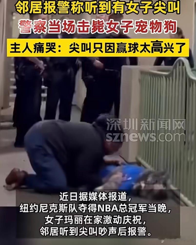 美国女子因赢球尖叫宠物狗遭击毙狗招谁惹谁了？ 