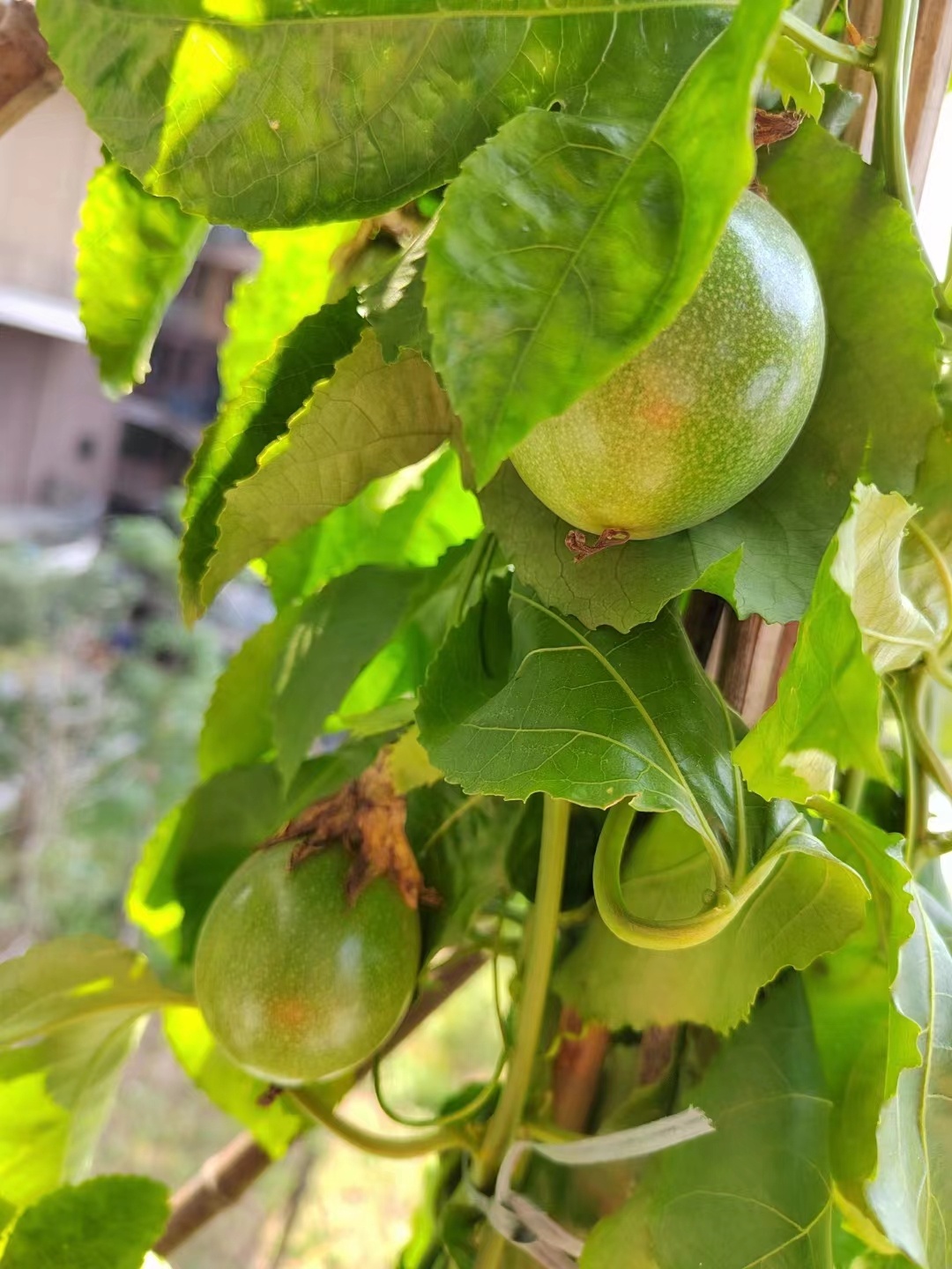 活在自己的热爱里，而不是他人的眼光里。——栗凯丽《我不在乎你怎么看我》我们好像总