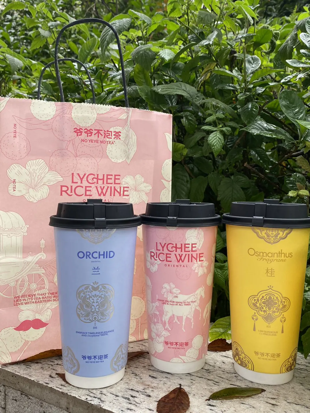 今天住在“爷爷不泡茶”大厦