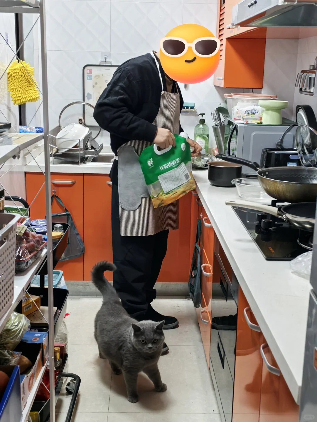 爷爷的烧饭搭子🐱