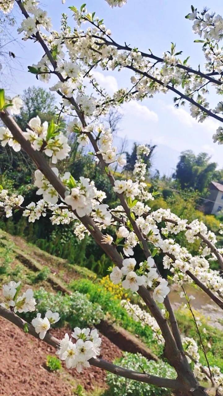 活该我受穷，朋友和别人聊天，一个月赚上万。

她把平台推给我，我点进去一看，果断