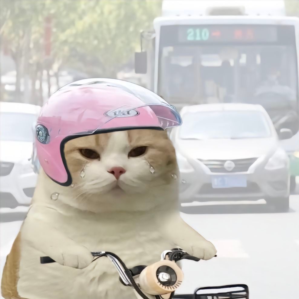 小猫打工头像4.0。上班只为下班 工资只够三餐#萌宠##猫咪# ​​​