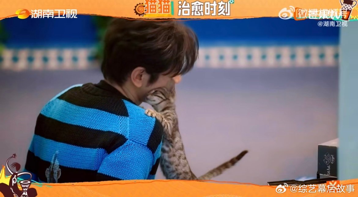 黄晓明[超话]黄晓明和小猫互相治愈晓明哥在中餐厅忙里忙外操碎了心，只有抱着小猫“