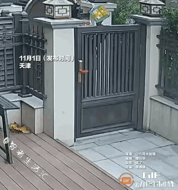 被暖到了！天津快递小哥太圈粉

因家中无人，顾客让快递员把包裹扔院子里。本以为就