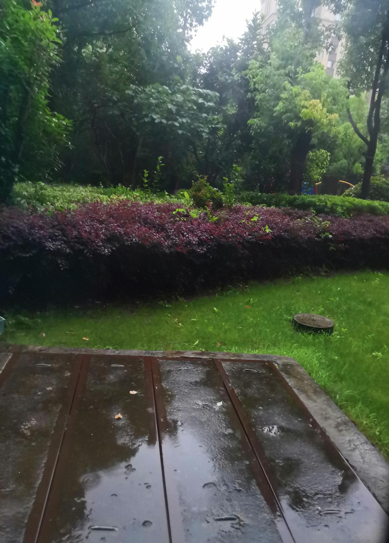 上海今天从早到晚雨下个不停，我们上班下班出门回家，风里来，雨里去，感觉好辛苦啊！