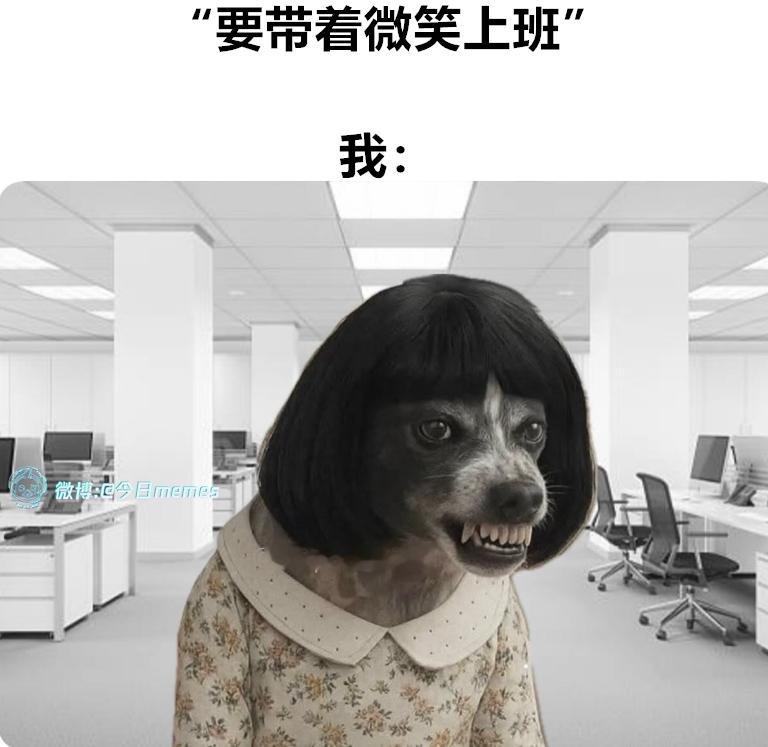 怎么样（9gag）今日meme 今日memes