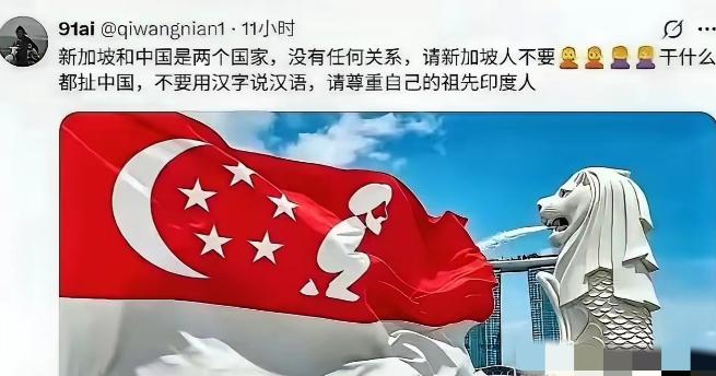 一张恶搞新加坡国旗的图片在外网刷屏，“印家坡”三个字直接把新加坡官方逼到破防。全