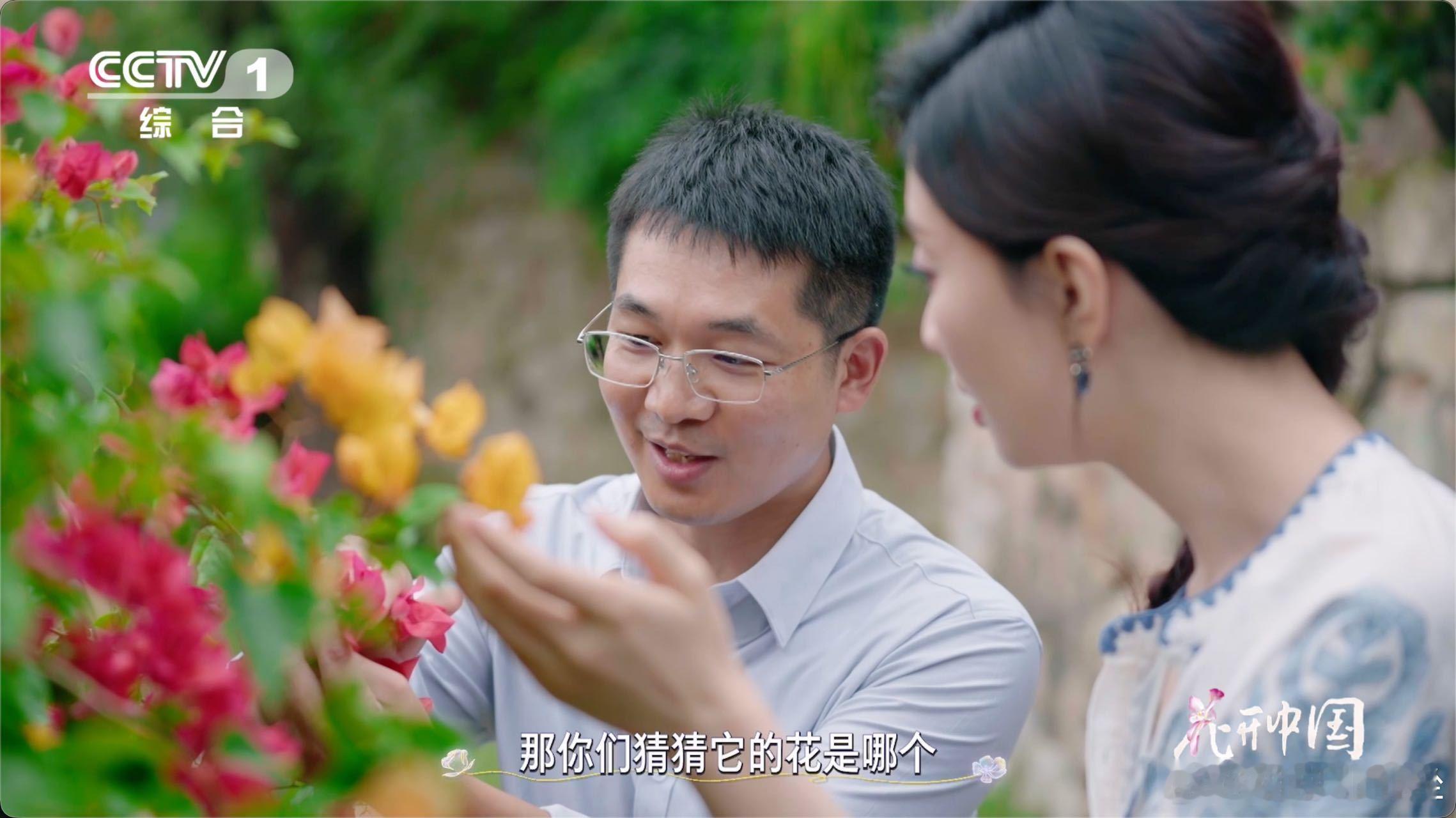 以为是花其实是五颜六色的叶子从刺里开出的花 快来打卡由彩色叶子构成的梦幻长廊！三