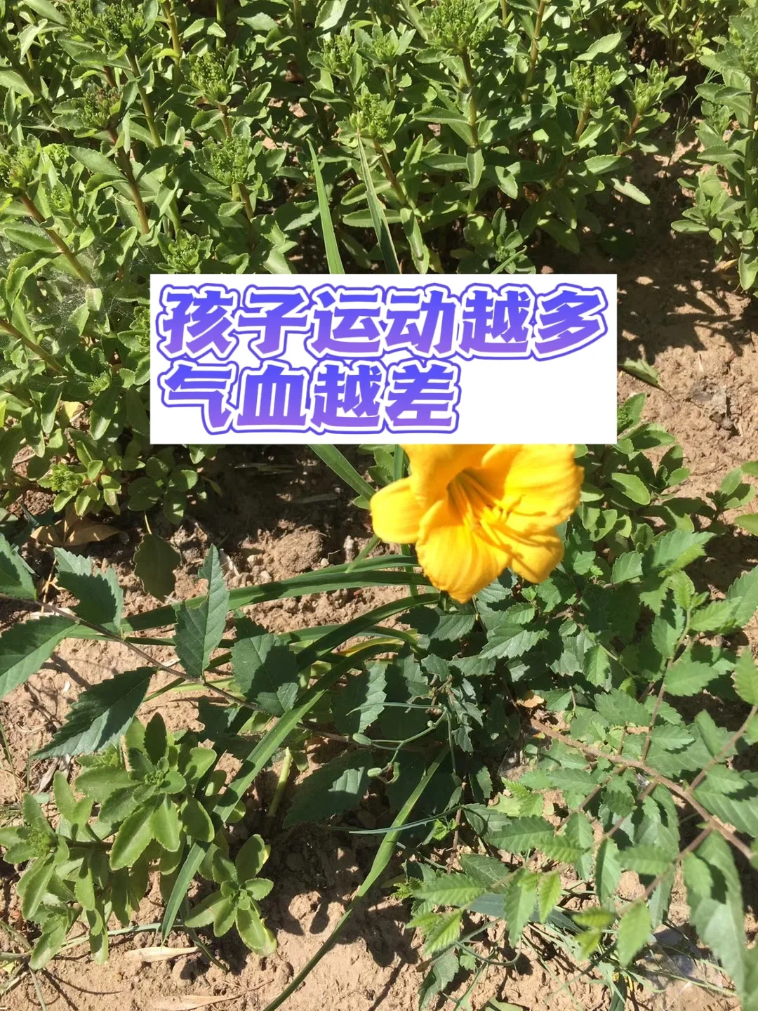 孩子运动越多，气血越差.