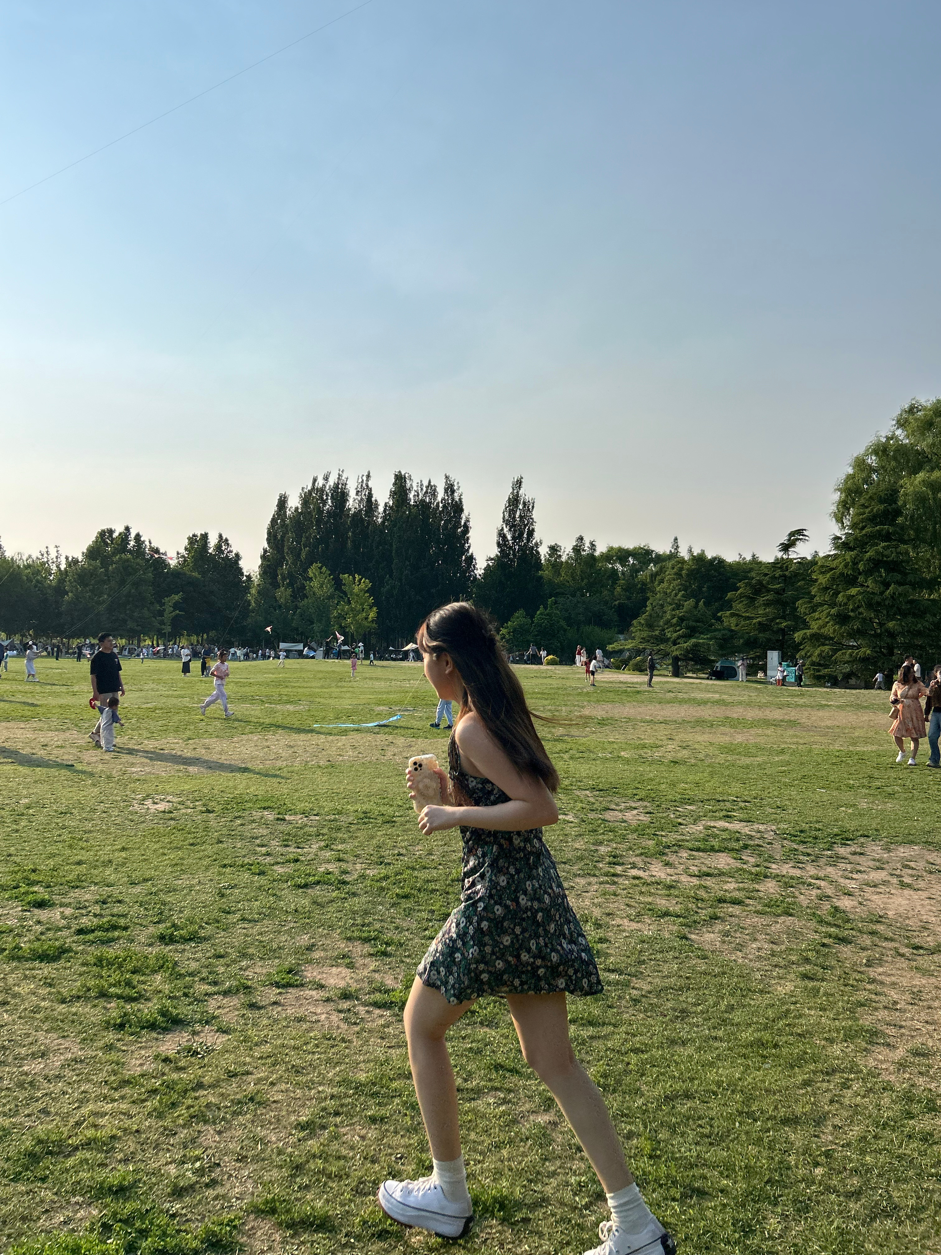 gogogo～氧气大放送🪁🪁🌳 ​​​