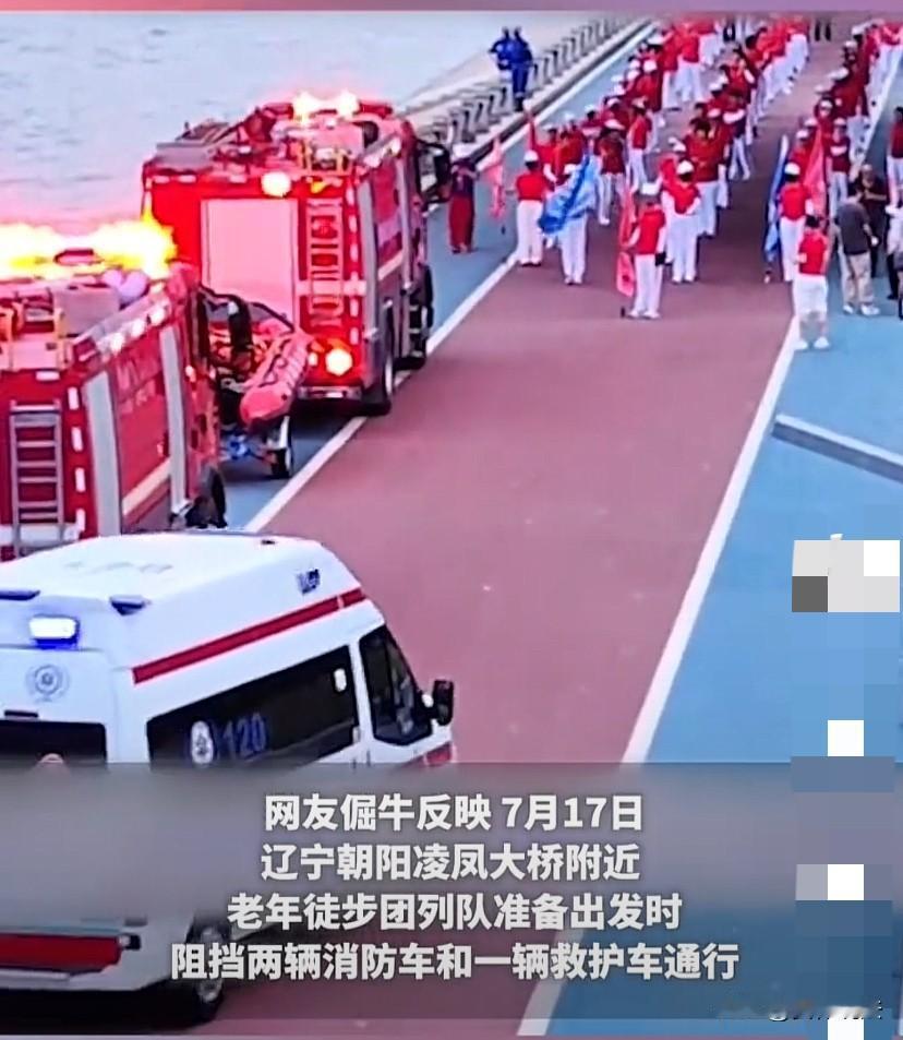 “离大谱！”辽宁，网传一老年“暴走团”在一景区道路中央列队出发时，阻拦了去执勤的