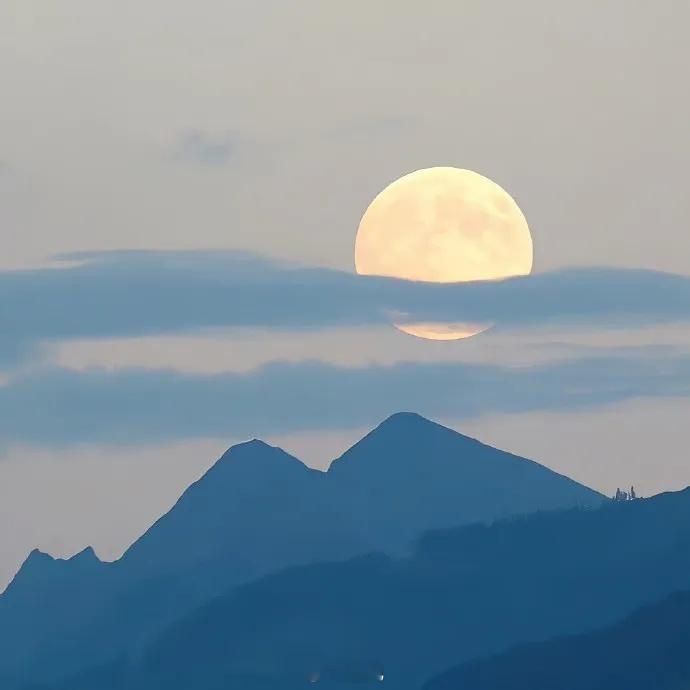 生活不是轨道，而是一片广袤无垠的原野。在这原野上，我们会路过风雨，也会邂逅彩虹；