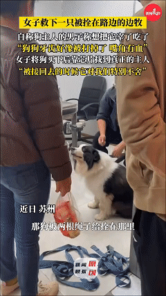 太无耻了！近日苏州，女子在回家路上发现有只狗狗被人用绳子拴在路边，旁边一位骑三轮