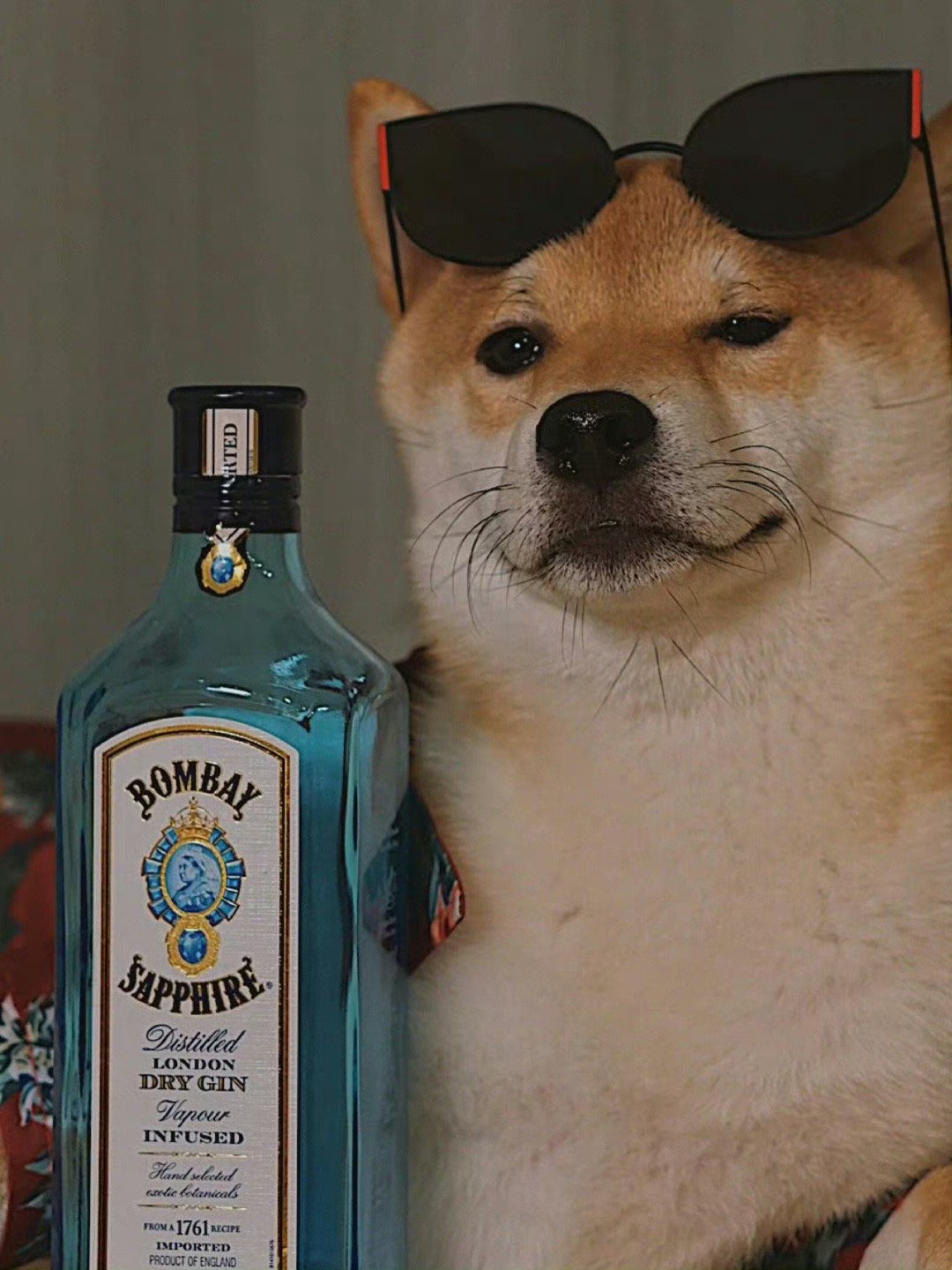 狗子：有空吗？出来喝两杯🍻 