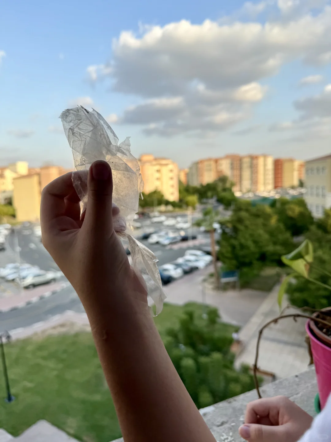 八哥大姐送的礼物