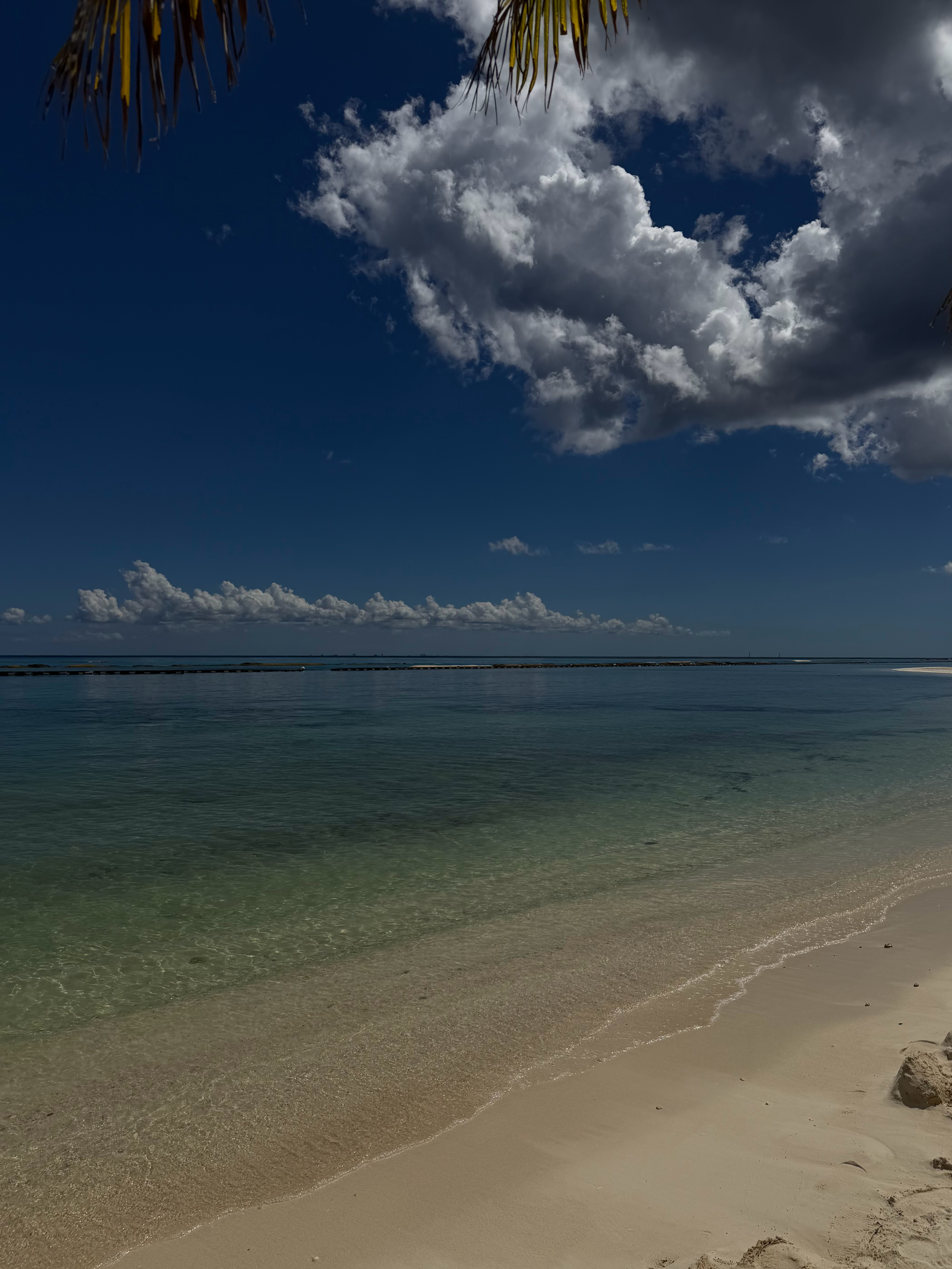 🇲🇽我的青春刚刚好生活有星意 ​​​