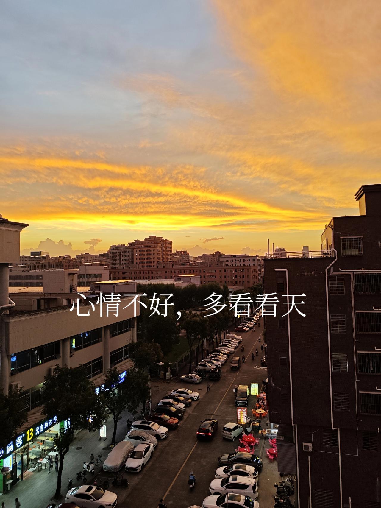 唉，我这个忙帮得双方都闹心！

我们公司最近好多人都在买火车票，打算国庆节回家。