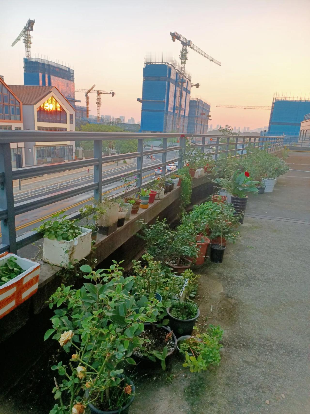 我的后阳台商铺顶