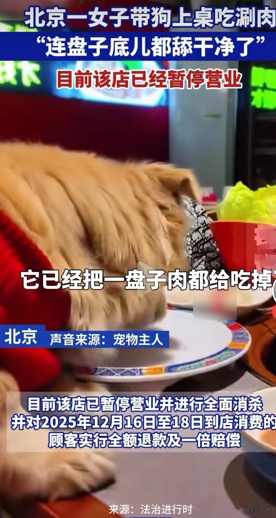 北京一女子带狗上桌吃涮肉，女子还大言不惭地说：“连盘子底儿都舔干净了”！鉴于狗主