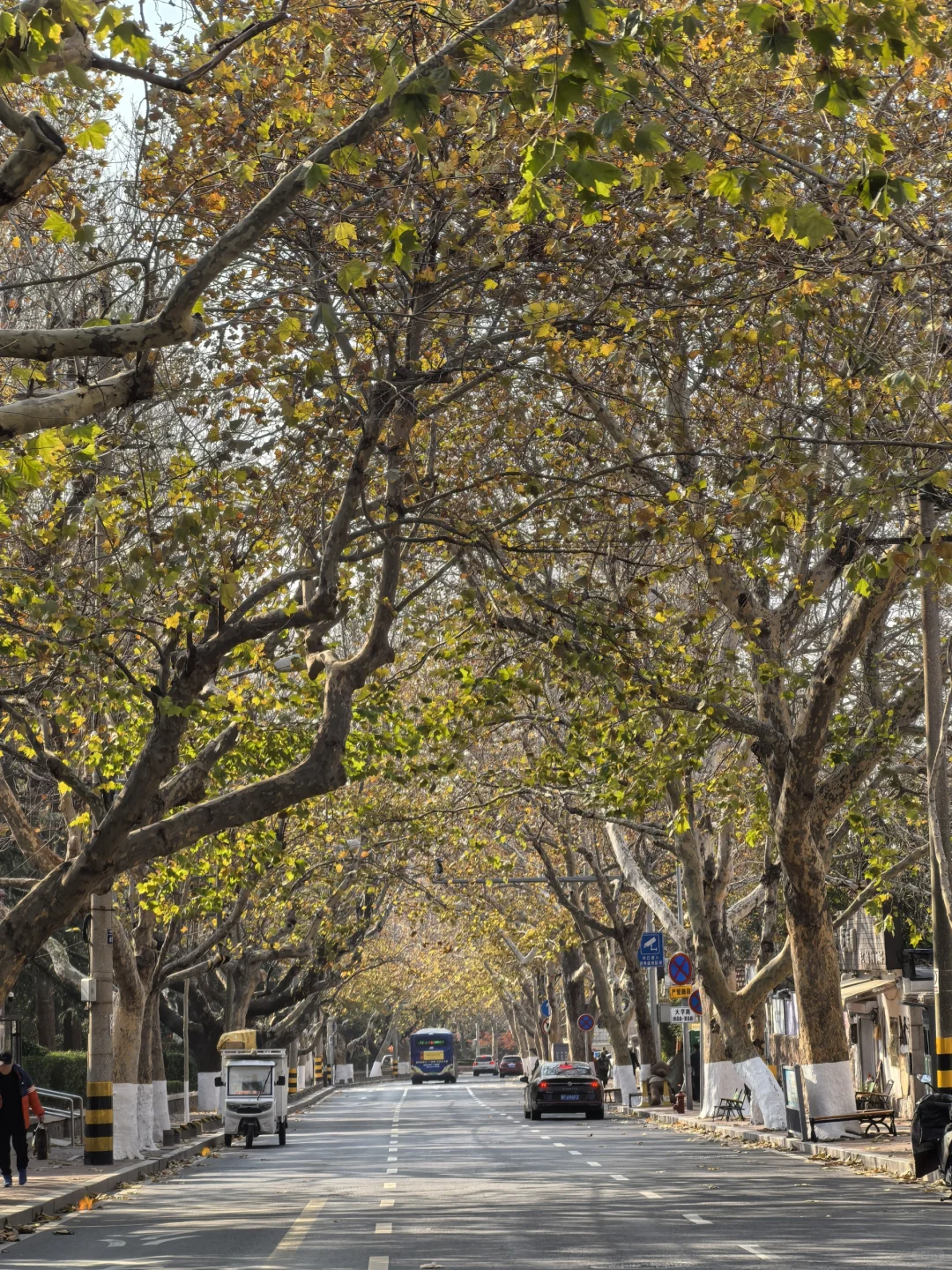 12.2青岛街头实况 淡季大学路有点淡