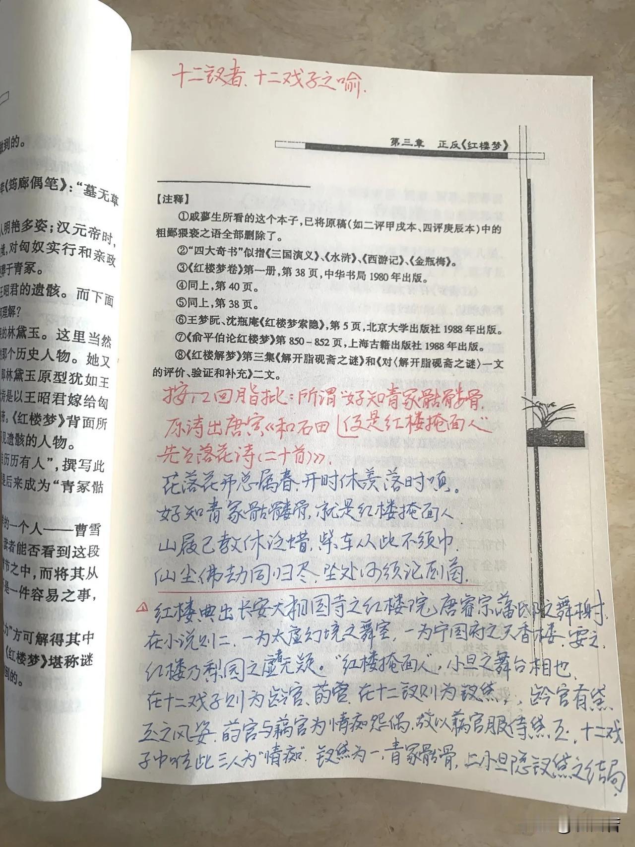 “红楼”典出长安大相国寺之红楼院，原为唐睿宗在藩邸时之舞榭。

在小说则为二，一