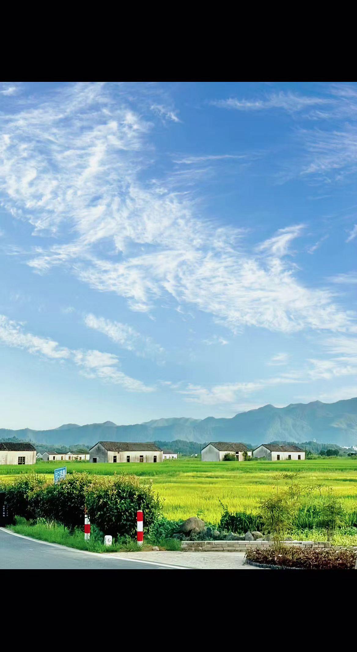 🌾云絮在蓝天写散文诗，稻浪把阳光酿成蜂蜜🍯。远山如墨，村舍似棋，原来人间最美