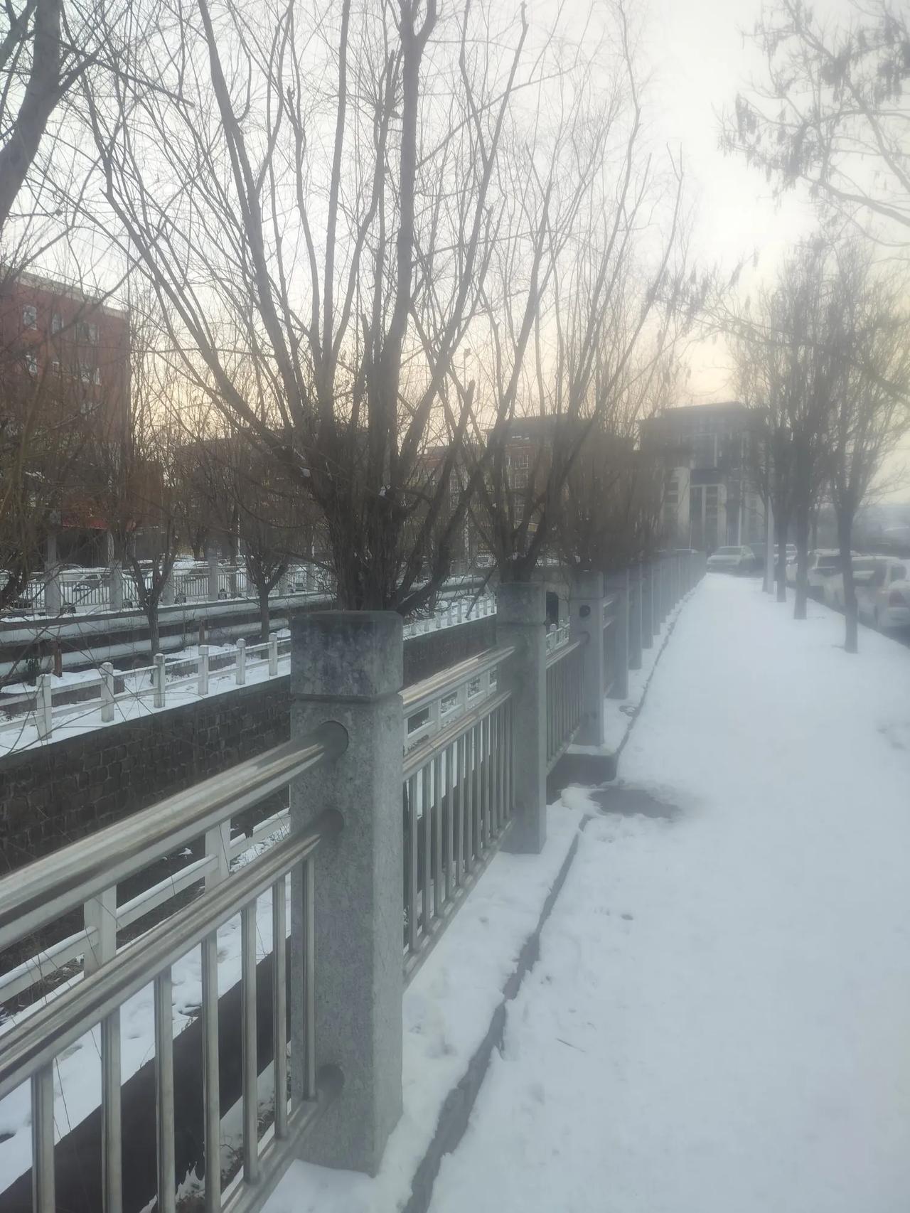 今年冬天的不同