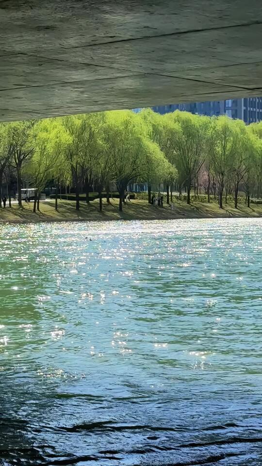 不敢相信！这里居然是郑州❗️❗️