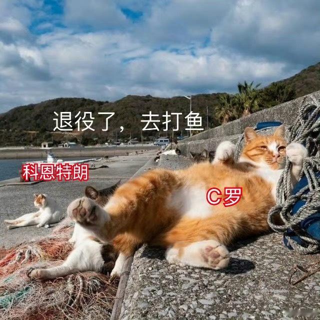 分享图片 