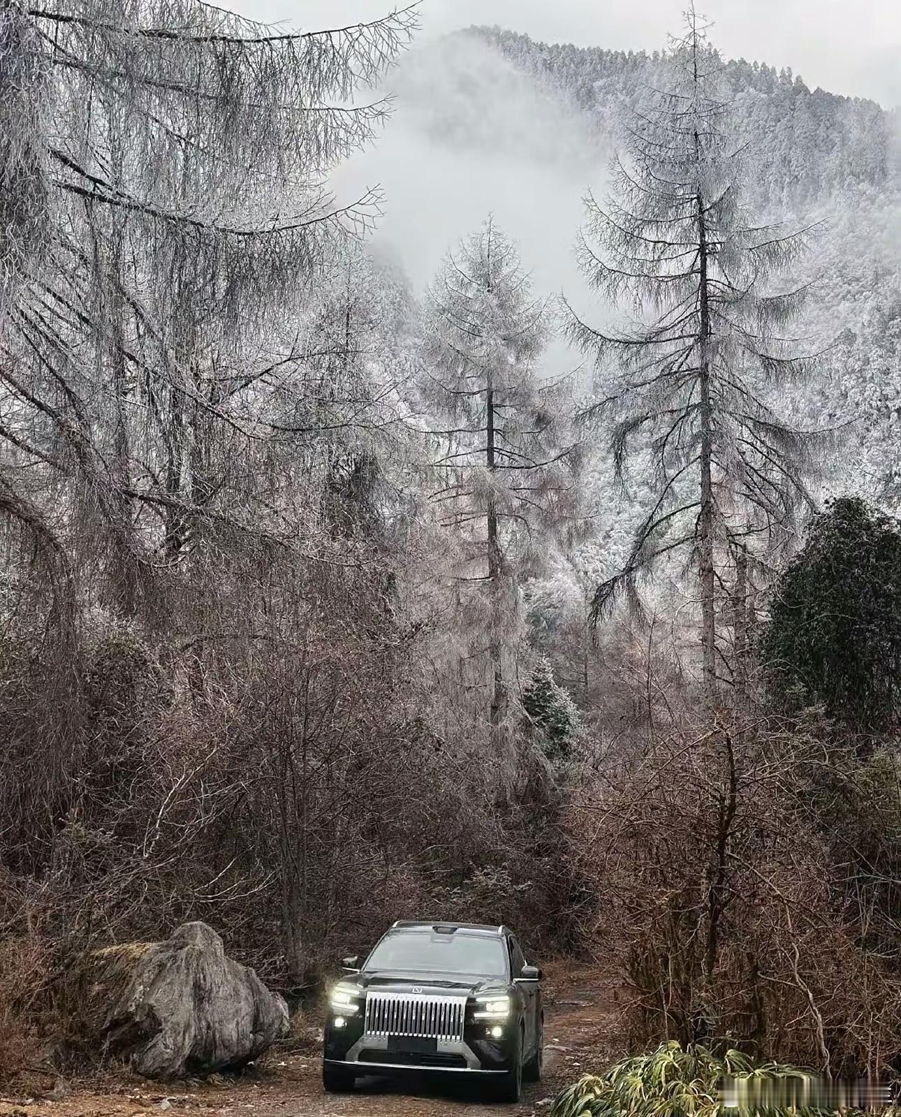 高端车辨识度方面，极氪一直把握的挺好；从009、9X再到8X，后面还有那台EF2