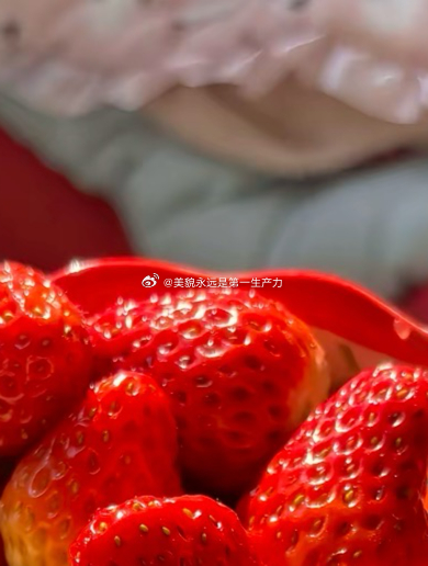 0000 strawberry草莓种植方法1.选苗与土壤：挑选根系发达、叶片翠绿