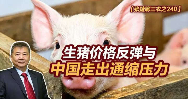 张捷财经观察 | 生猪价格反弹与中国走出通缩压力