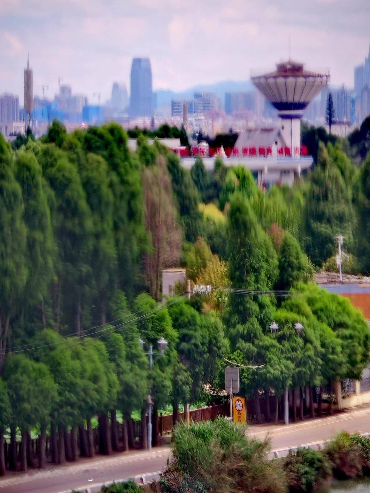 城市高楼映蓝天，绿树成荫鸟语欢。游昆明西山区风景这边独好
