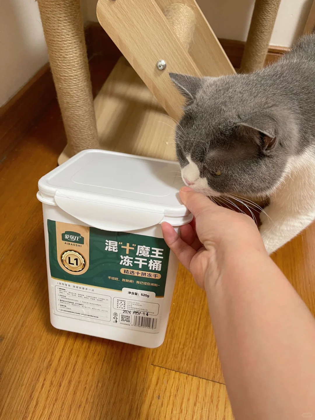 属于小猫的“满汉全席”！！！