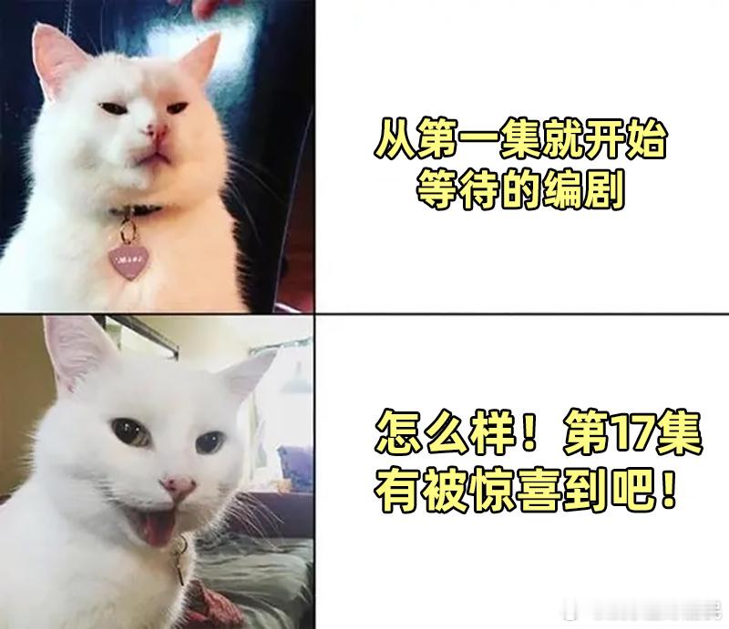 书卷一梦1集剧透17集退婚 《书卷一梦》 开头就把后续高能情节亮出来，宋小鱼介入
