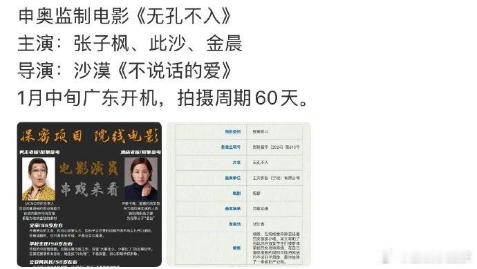 金晨张子枫将合作 期待值直接拉满！《无孔不入》的双女主设定 + 张子枫金晨的神仙