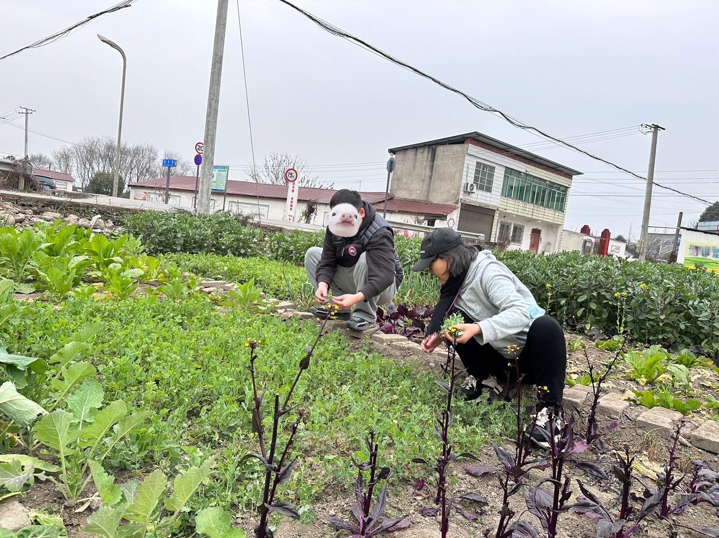 #回乡见闻# 没想到我家还因为退林还耕政策分到了一分地[允悲][允悲]，二三十平
