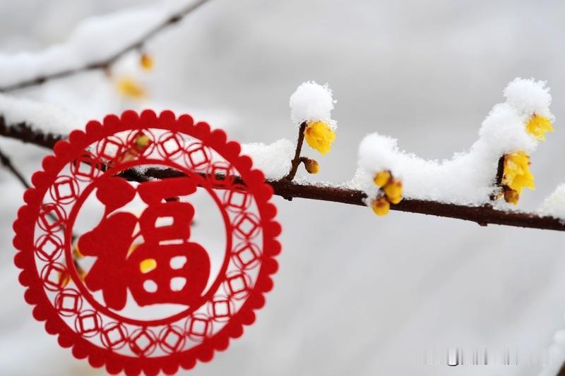 2025平平安安过去，真得好好感谢苍天、祖国！展望2026，民间有“四牛耕田，五