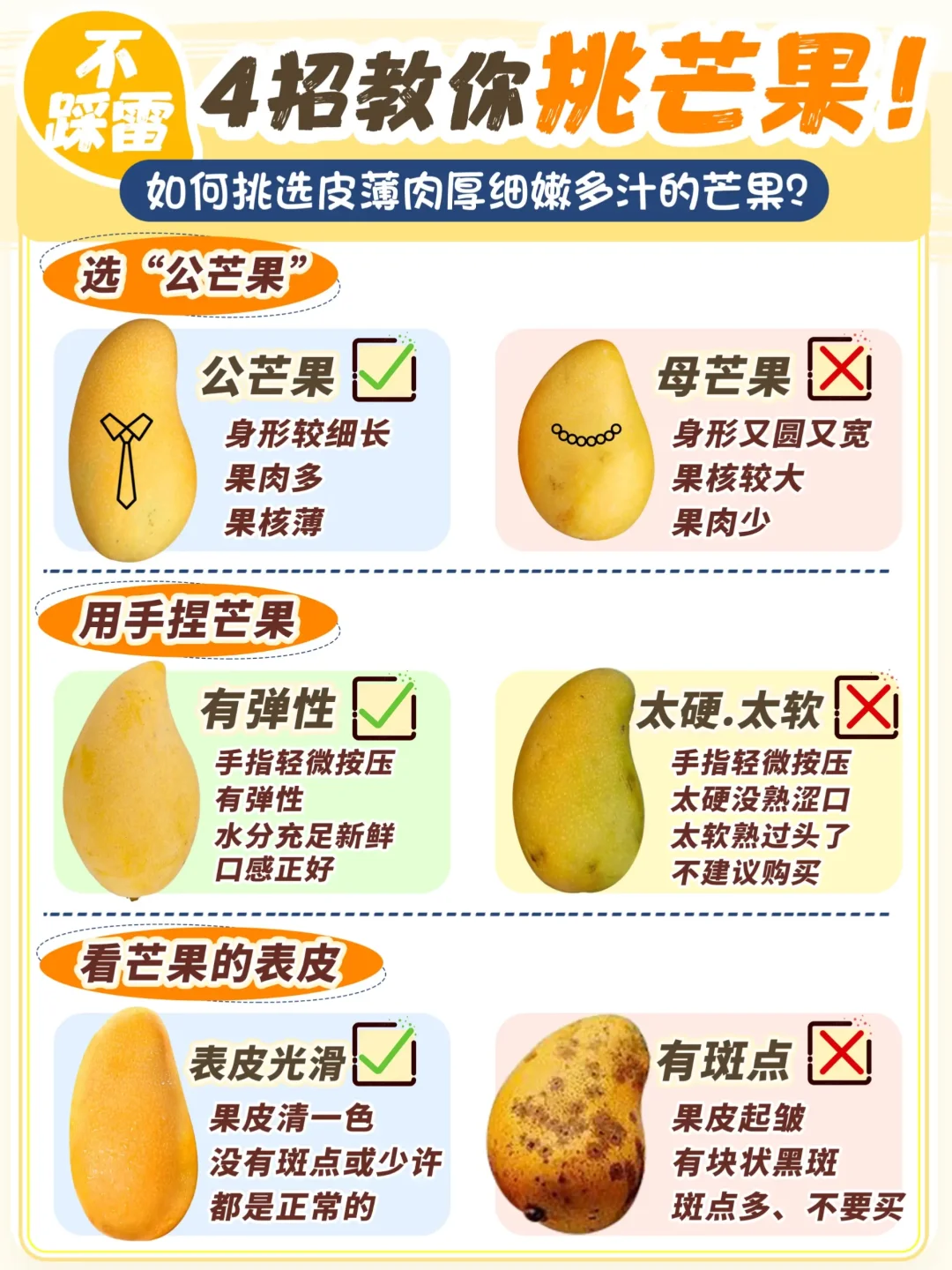 水果小知识🥭芒果怎么选❓甜度大比拼⭐️