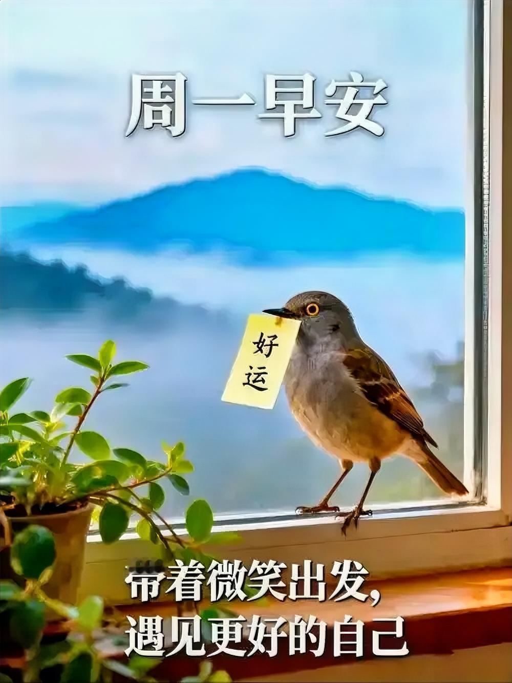 周一清晨，晨光正好，微风轻拂。
站在窗边，阳光洒在大地，万物都被镀上一层金黄。在